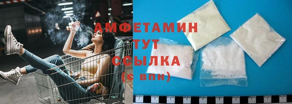 ECSTASY Горняк