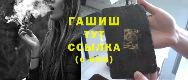 ECSTASY Горняк