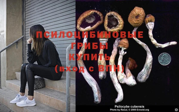 молекула духа Гусиноозёрск