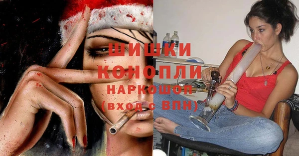 молекула духа Гусиноозёрск