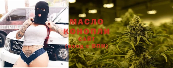 ECSTASY Горняк