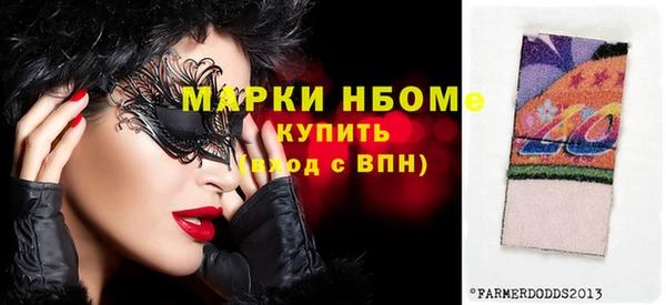 ECSTASY Горняк