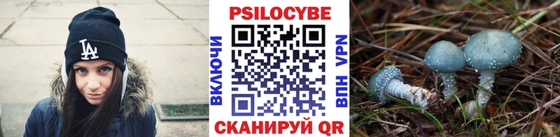 закладка  KRAKEN tor  Галлюциногенные грибы мицелий  Давлеканово 